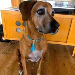 Dog or cat Mala bead collar necklace
